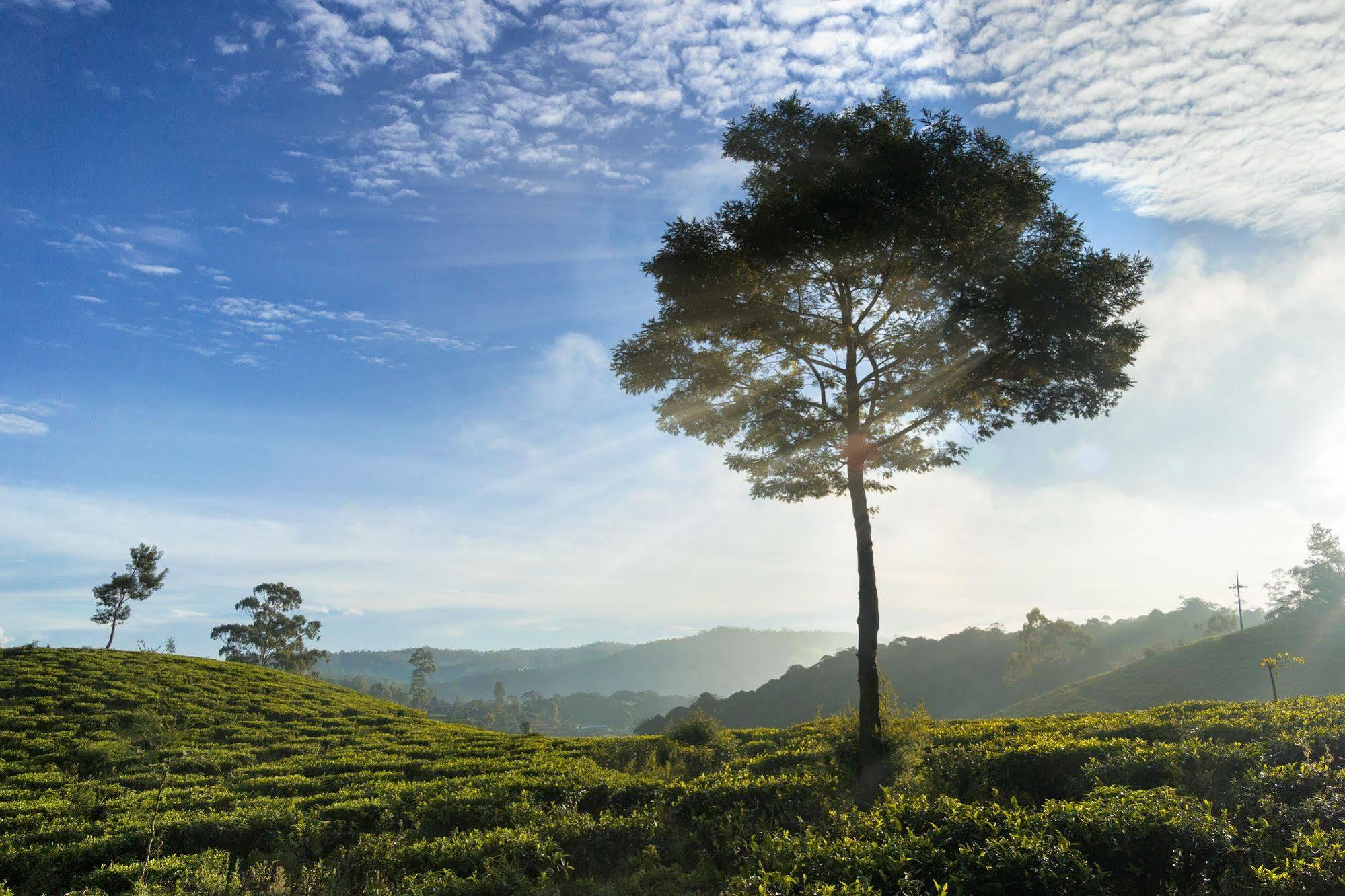 Kent Cottage Nuwara Eliya Exteriér fotografie